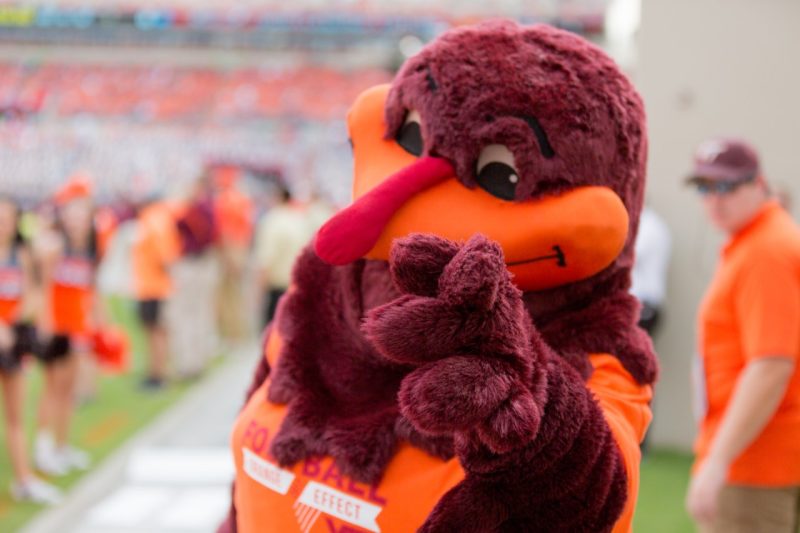 HokieBird posing