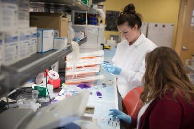 Graduate students in Scott Verbridge's lab. 